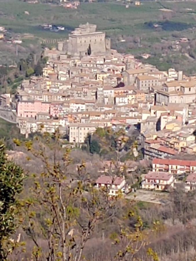 Alloggio Blu Nel Cuore Di Soriano Soriano nel Cimino Buitenkant foto